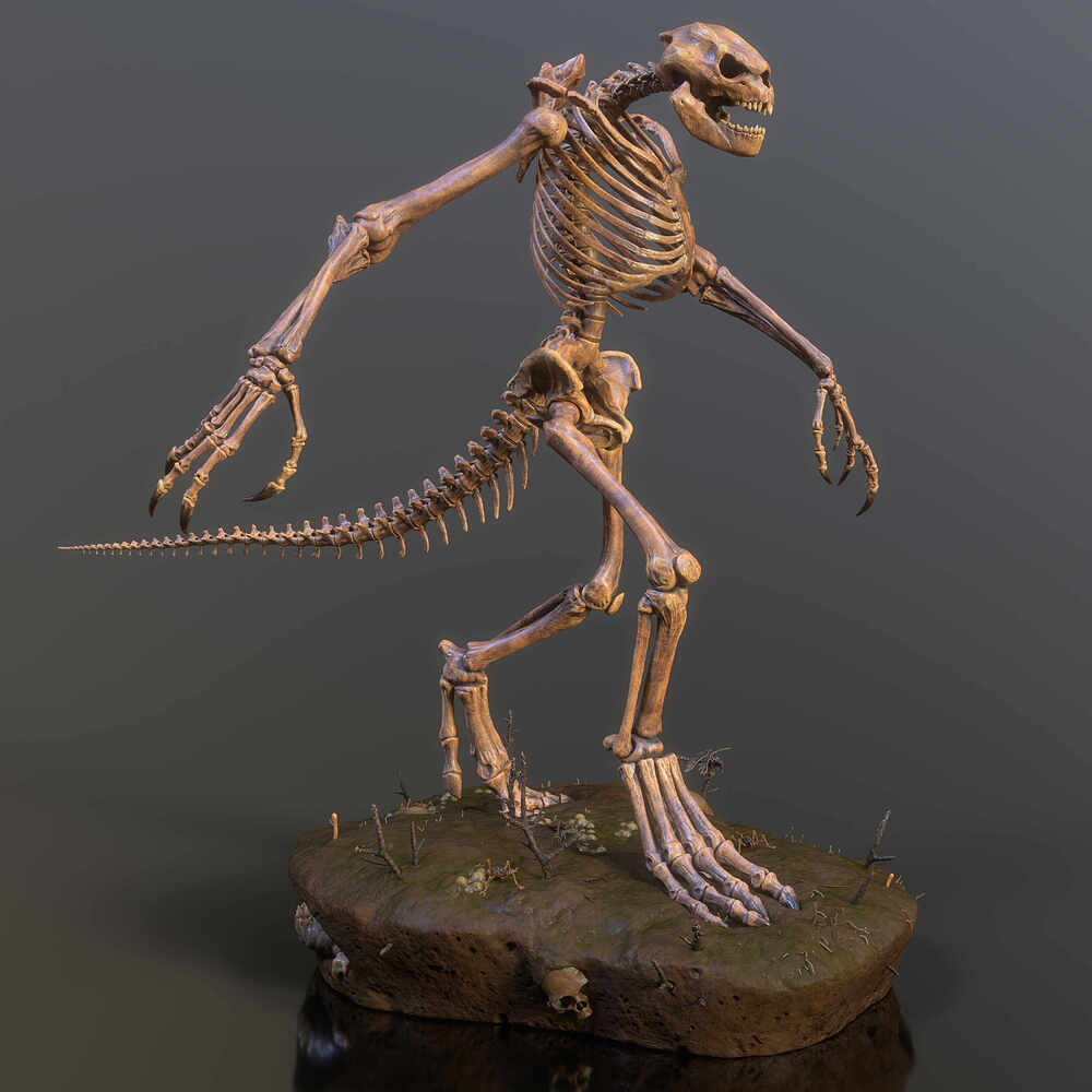 Lizard_Skeleton_01b