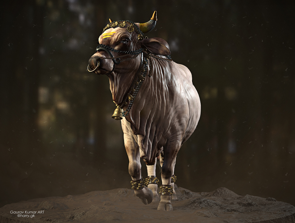 Bull__007
