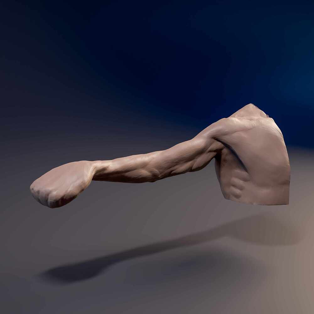 Arm_Straith_01