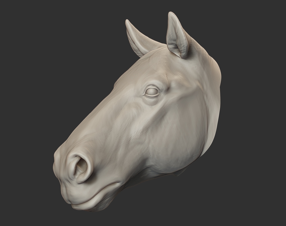bM_horseHead.jpg