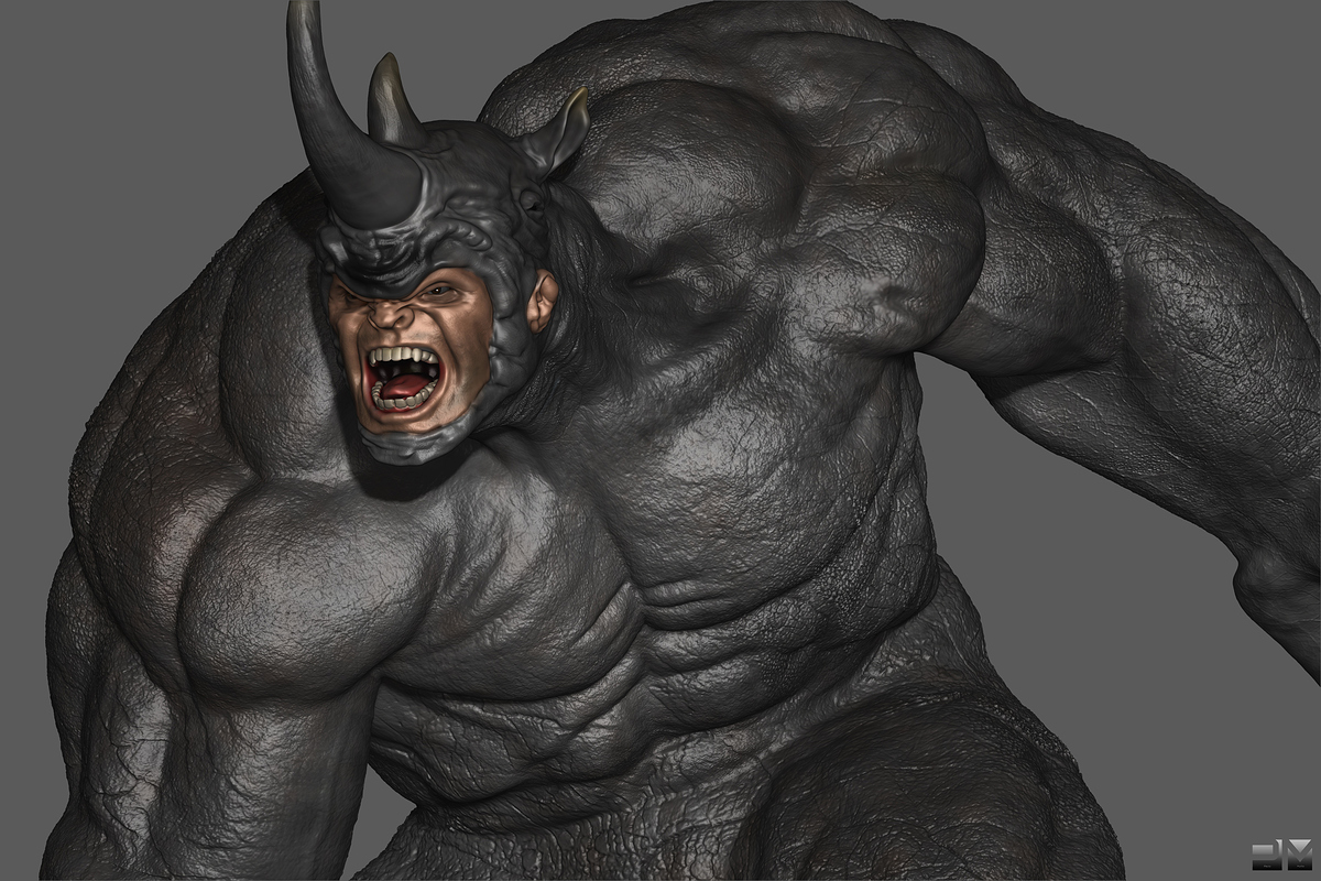 RHINO2