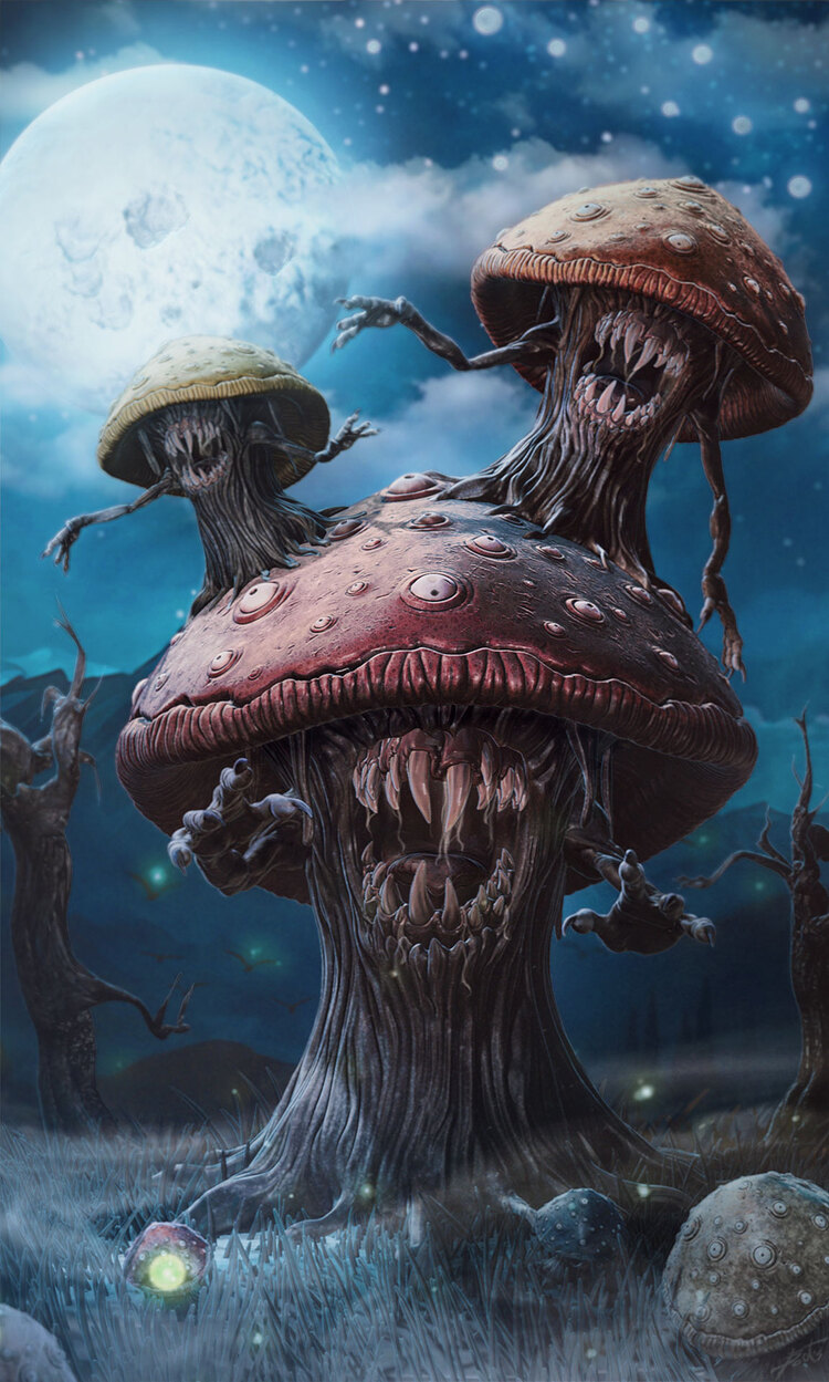 MushRoomIllustrationFinalSept18Rim2