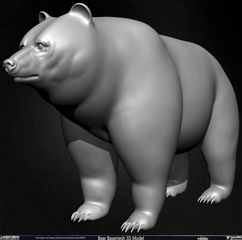 Bear Basemesh 3D Model Sculpted by Yacine BRINIS Set 015