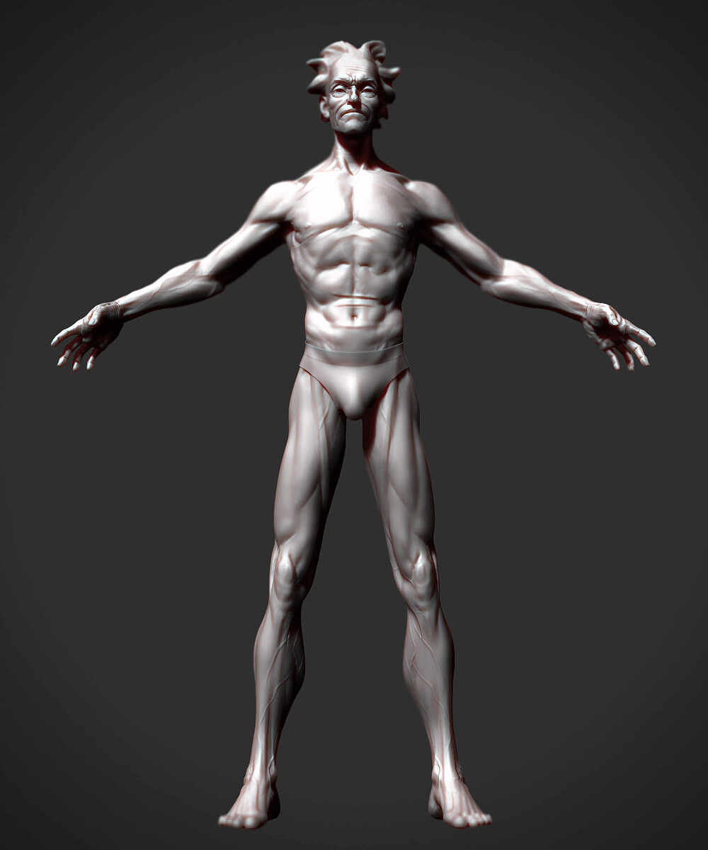 Realistic Rick Sanchez by Darya Girina sculpting_T_Pose_Life size anatomy_6