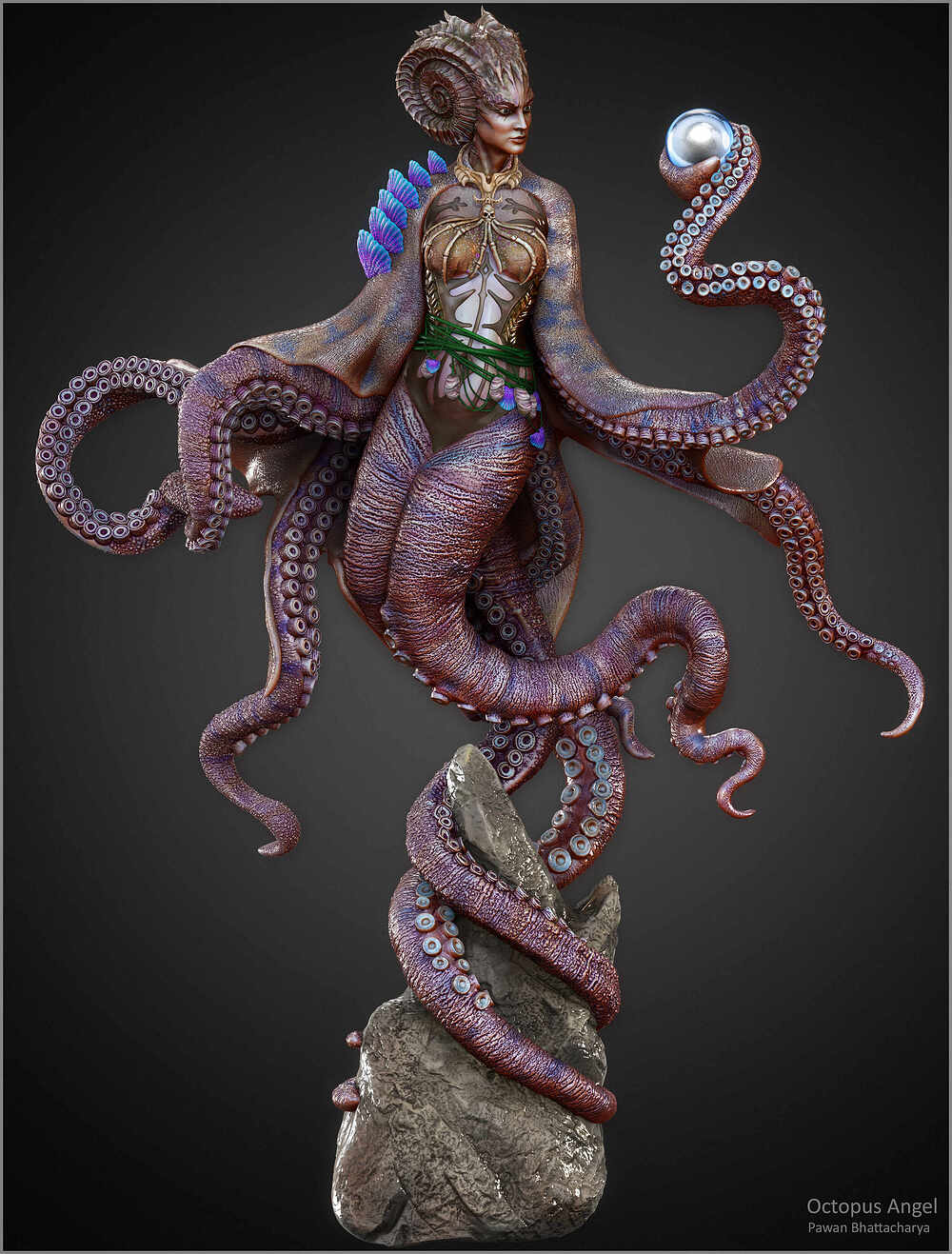 Octopus_angel_Beauty