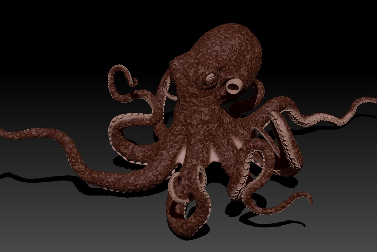 octopus 1.jpg