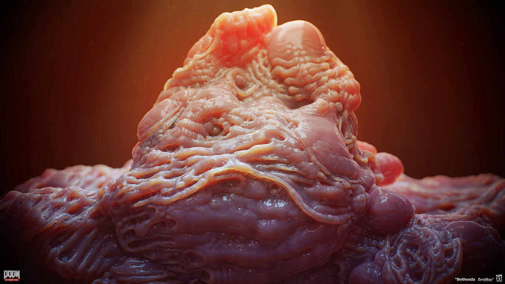 organs_01