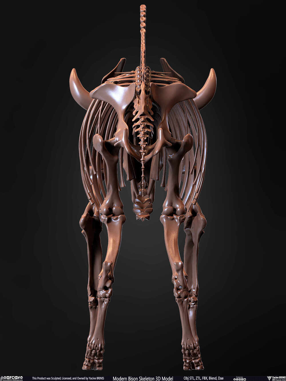 Modern Bison Skeleton 3D Model Sculpted by Yacine BRINIS Set 025