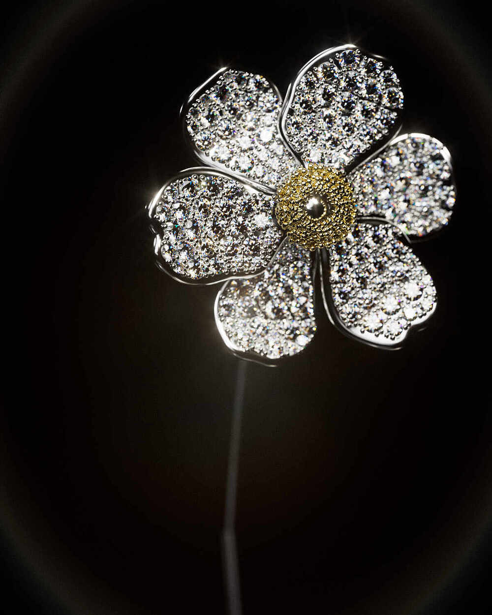 05_Flower_003