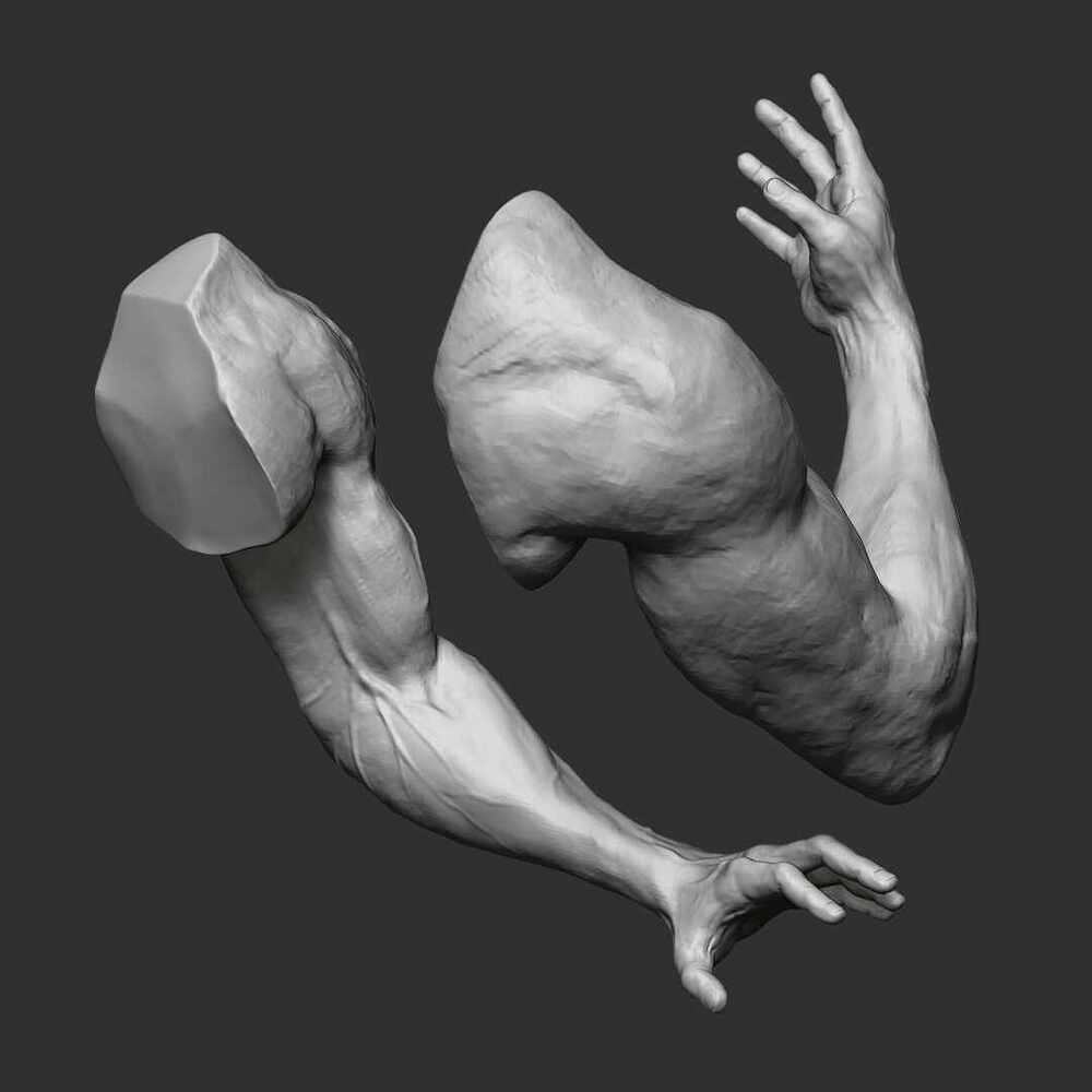 Arms_n_hands_4