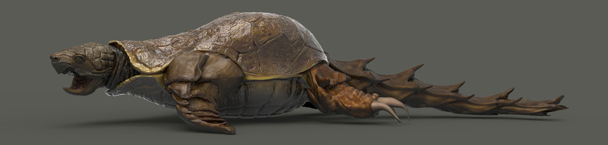 yurtle