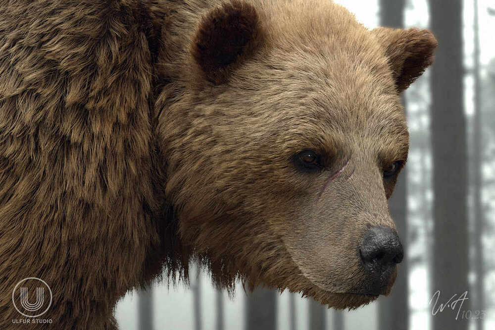 Grizzly_closeshot01_logo