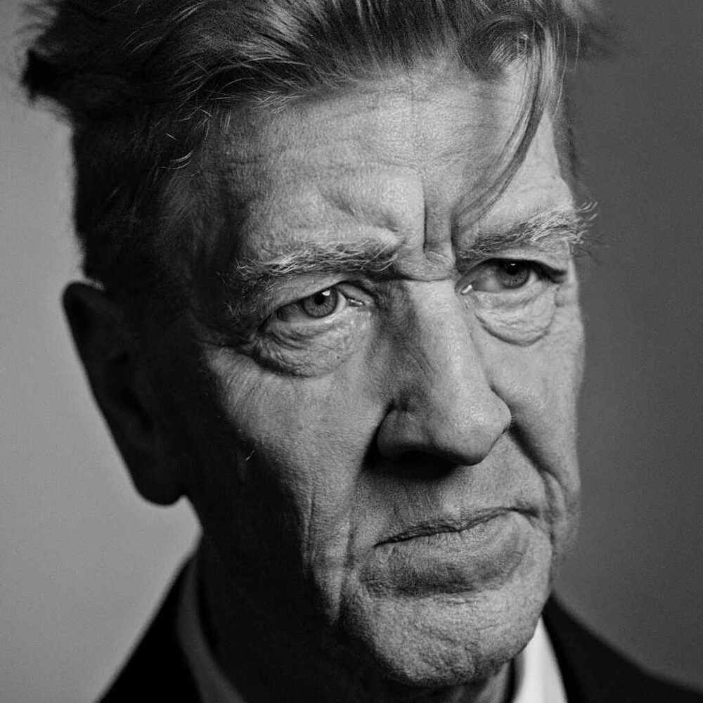 david lynch by vahid ahmadi21