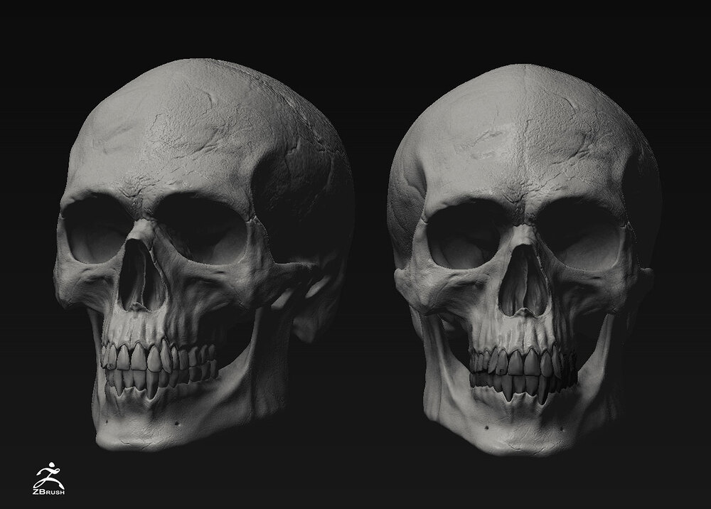 ZBrush-Document (2)