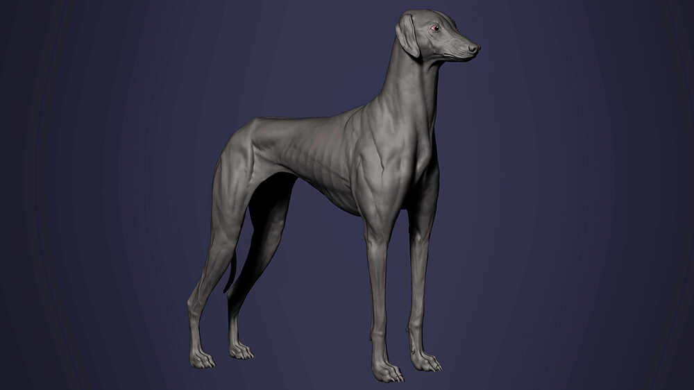 zbrush_03