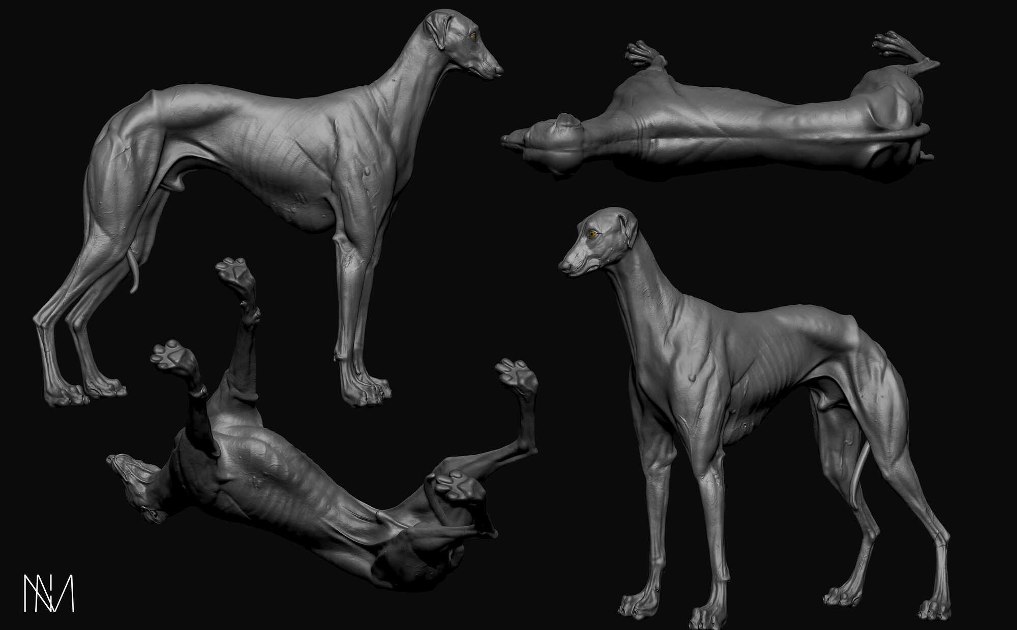 Scottish Deerhound ZBrushCentral scottish-deerhound-zbrushcentral