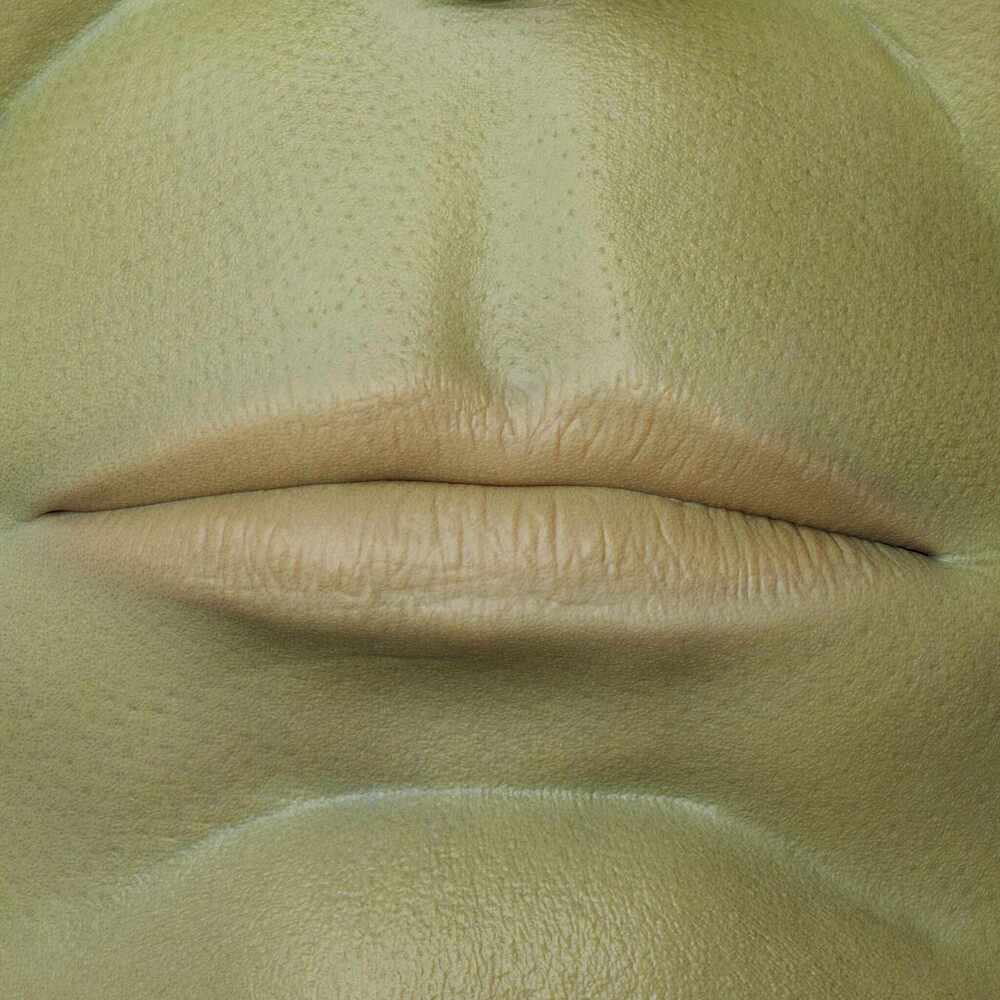lips detail