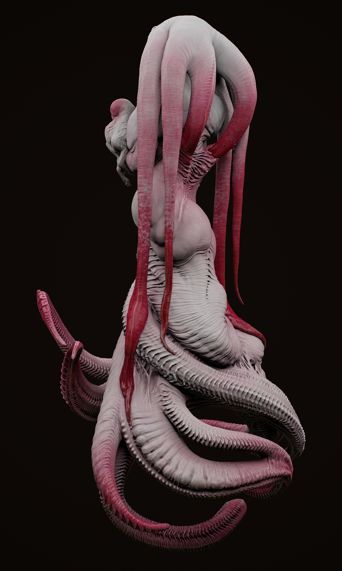 tbrender006_Viewport