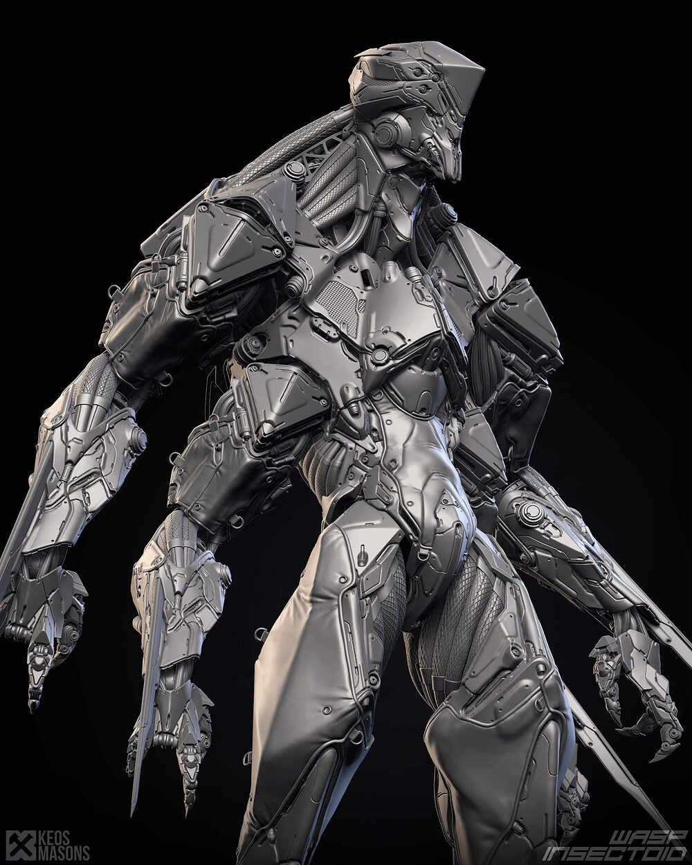wasp_z01b