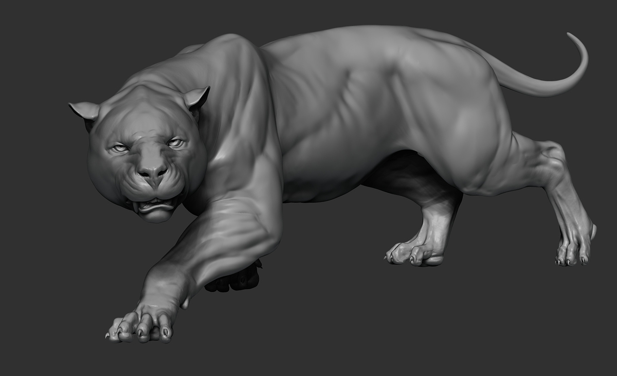 pantherOnca_006_posing