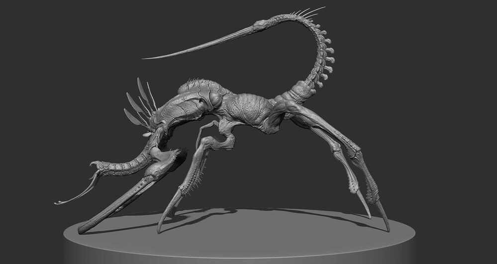 ZBrush Document2