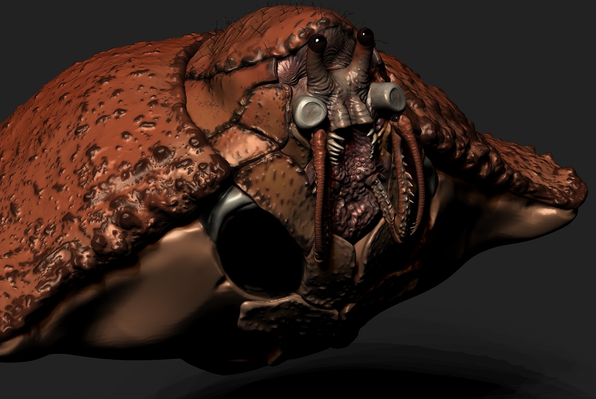Crab5.jpg