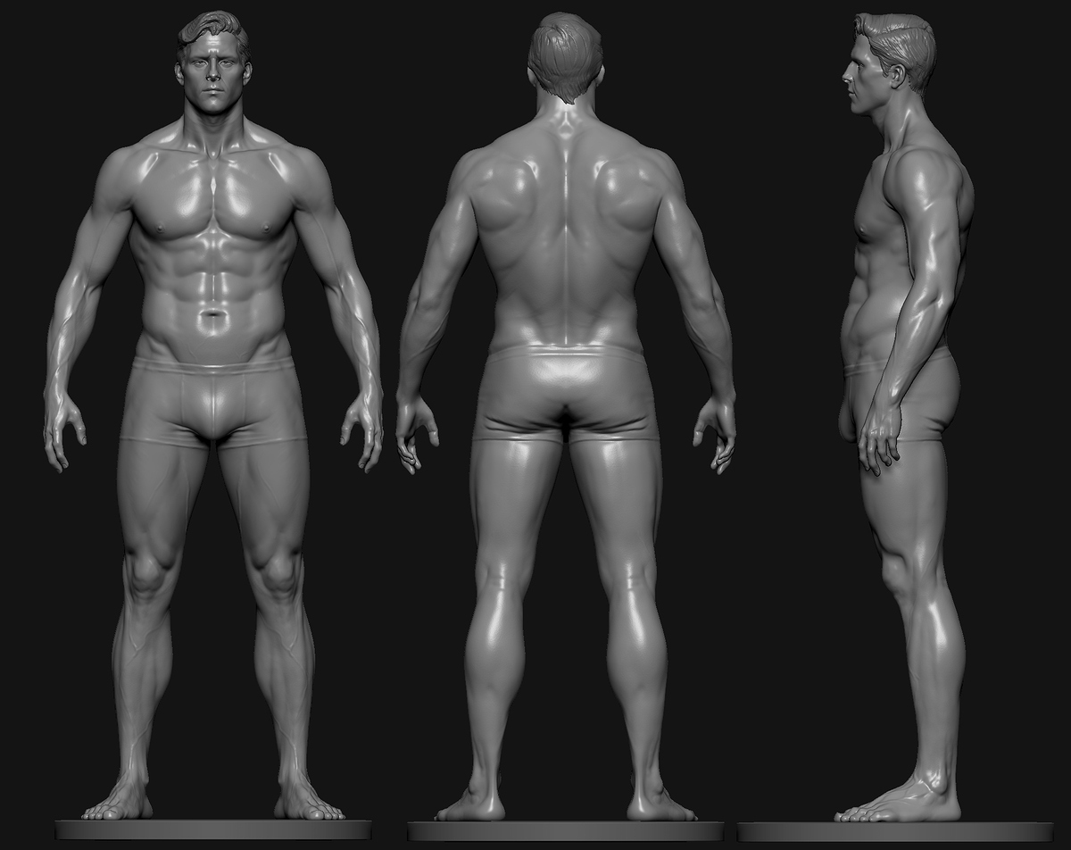 male_anatomy_study (2)
