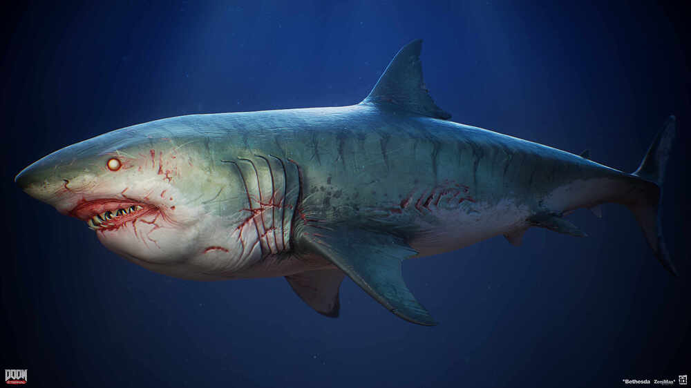 shark_side