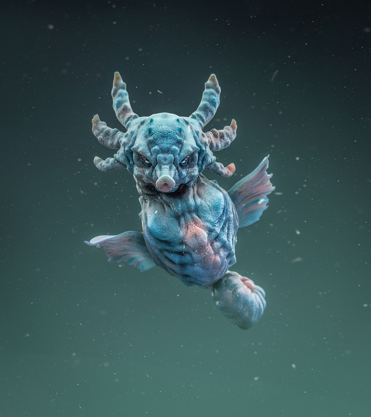 Horsea_Bld