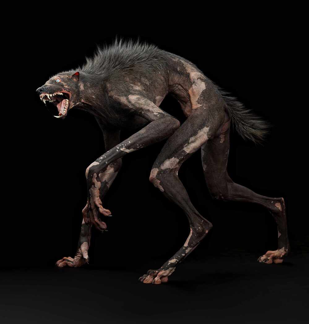 blindWerewolf_3
