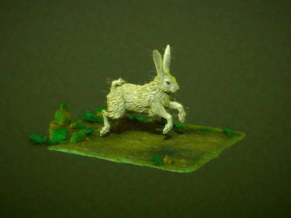 rabbit sculpt Npr Try