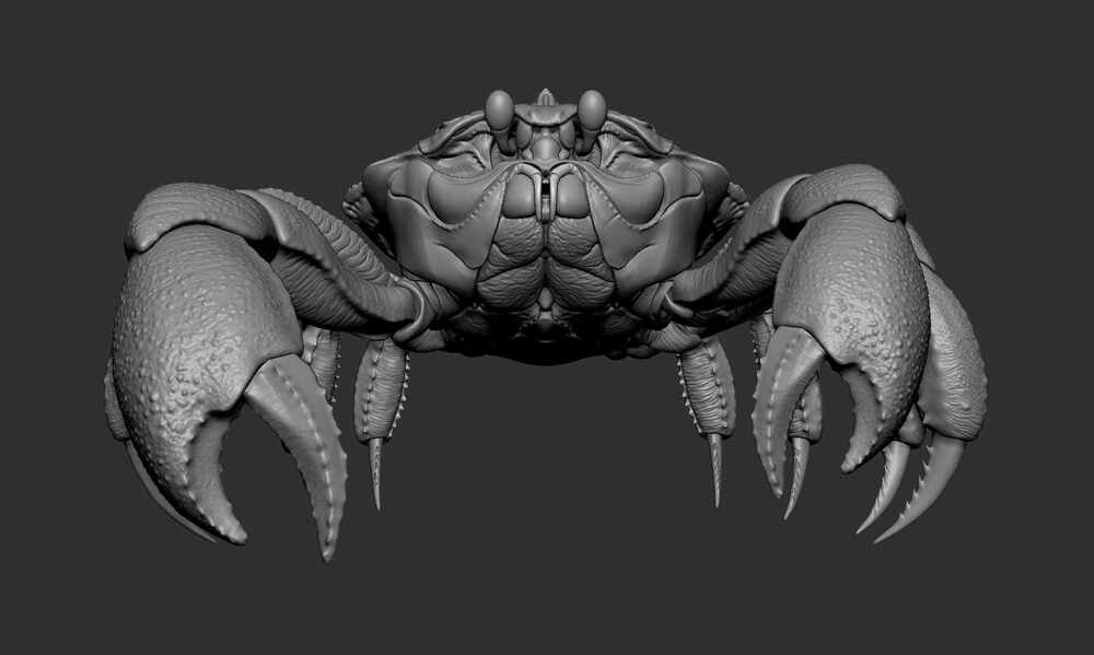 Crab_prev_04