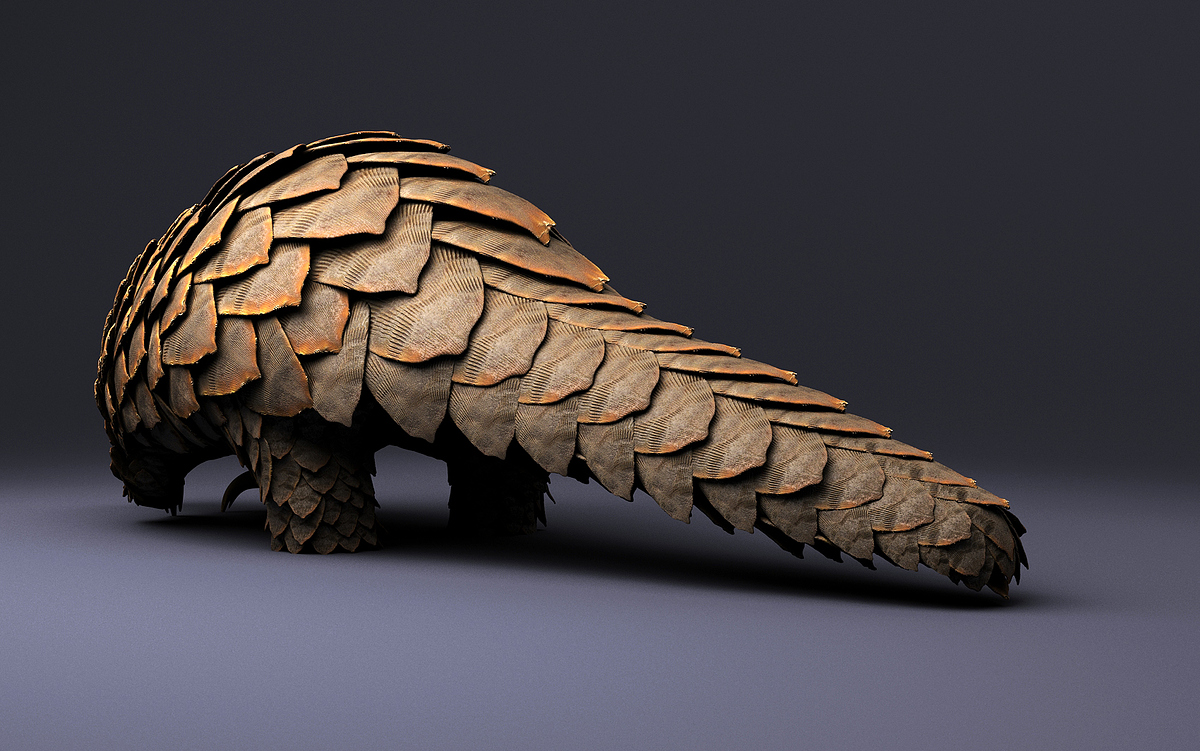 04_Pango