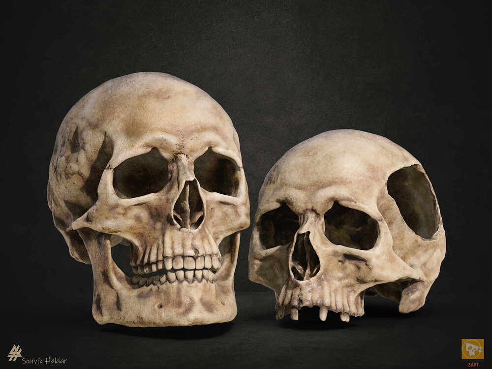 Skull_02