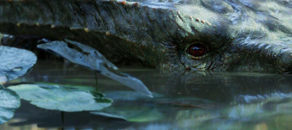 IanNavarro_Portfolio_2025_Spain (6)