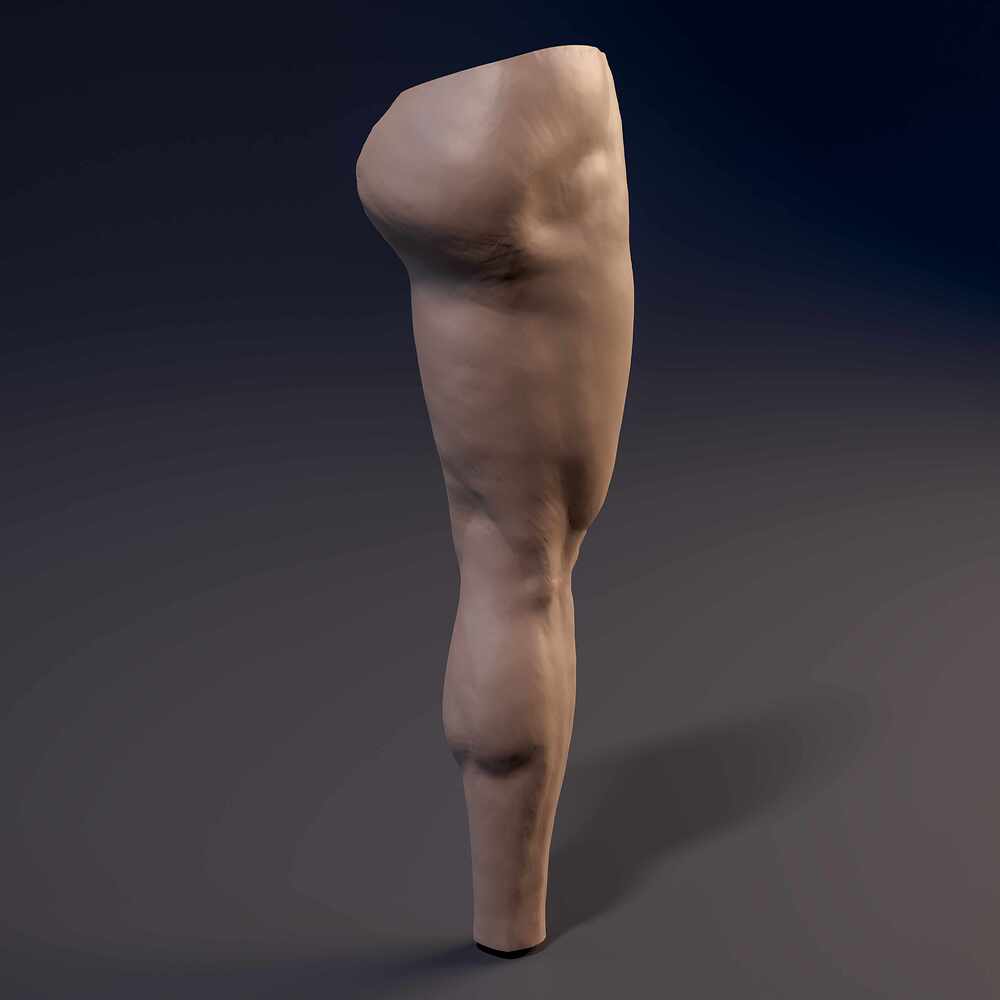 Leg_Straith_Cam_06