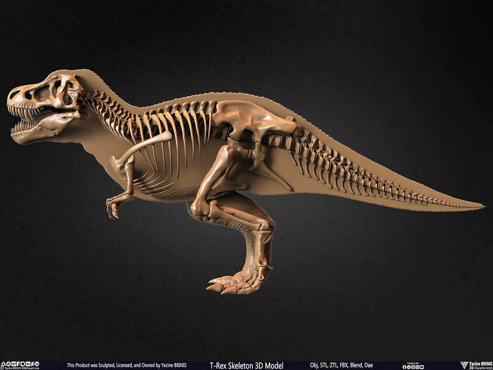 T-Rex Skeleton 3D Model (Tyrannosaurus Rex) Sculpted By Yacine BRINIS Set 048