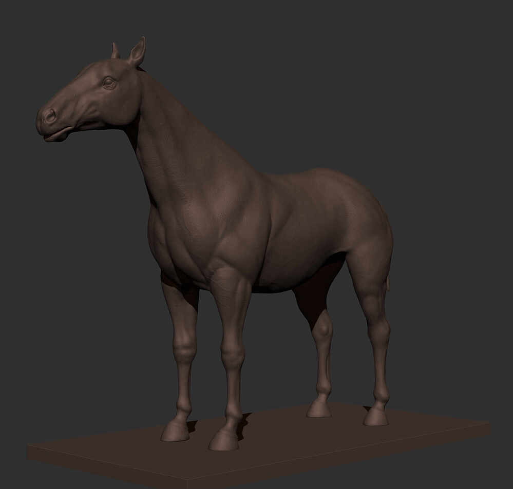 horsezbr_4