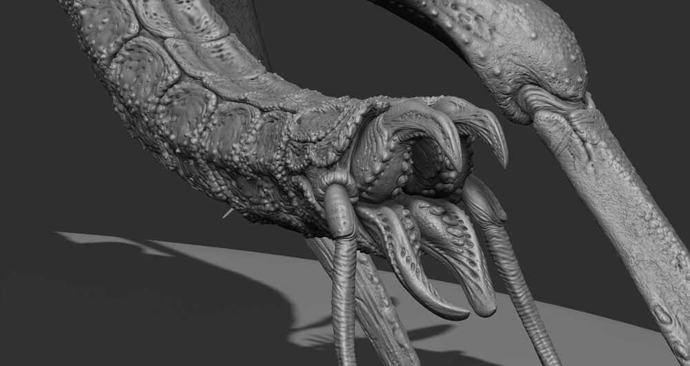 ZBrush Document5
