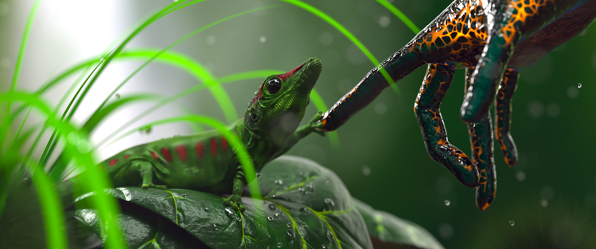 gecko_final
