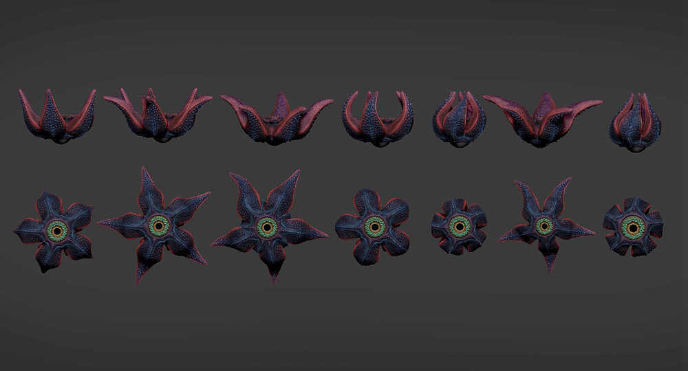 Render_Setup_09