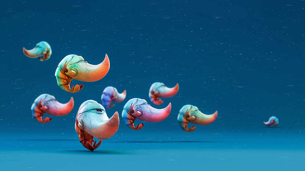 1Shrimp_02