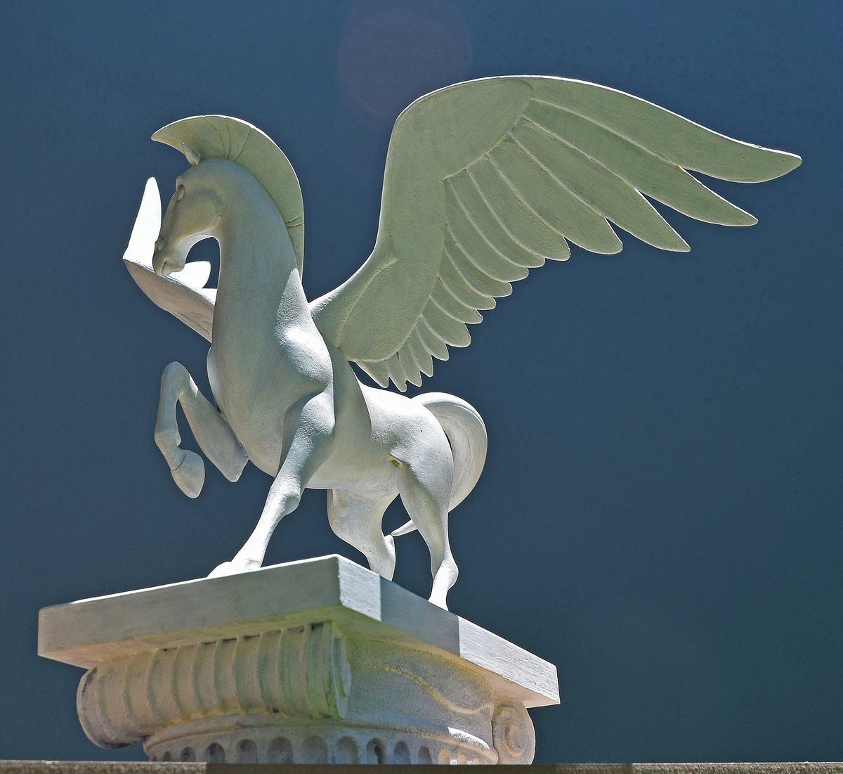 Pegasus  Final 09