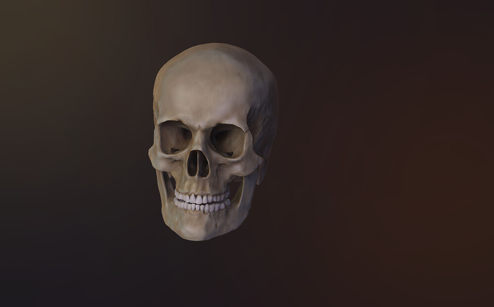 Craneo_Render_ArteFinal