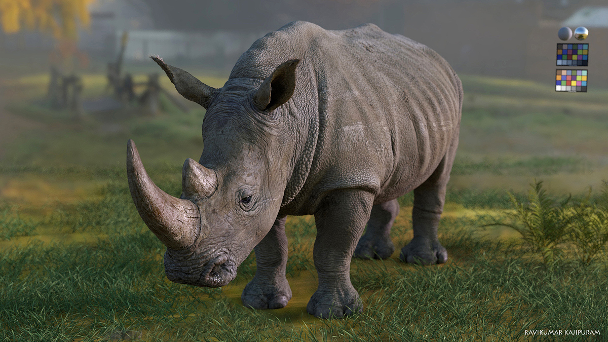 rhino_ldv_004