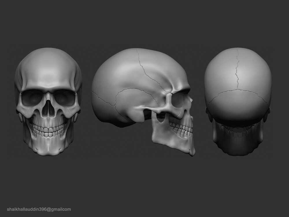 Skull_01