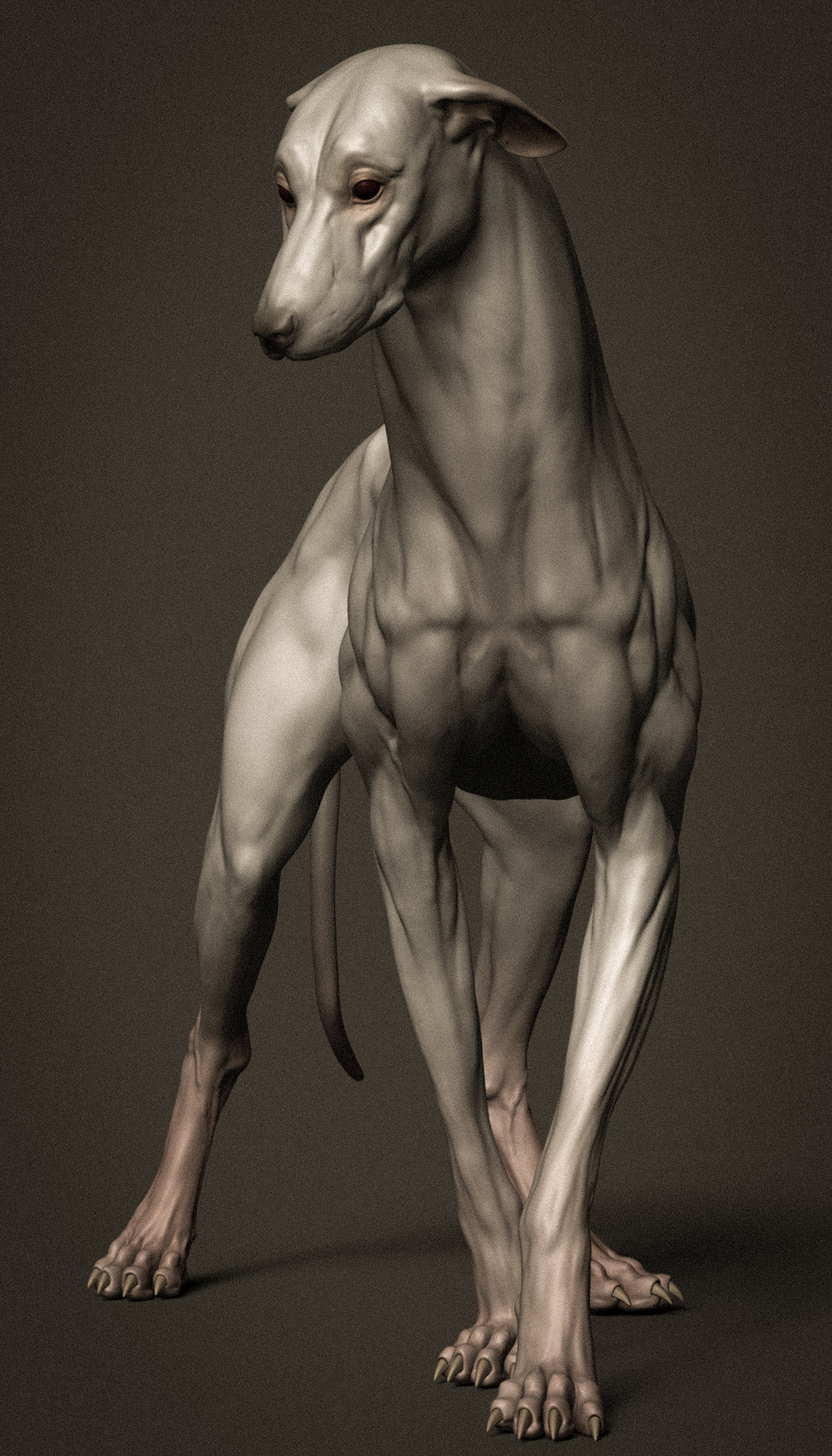 Hound