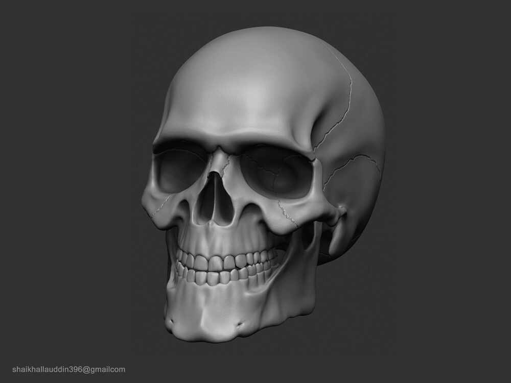 Skull