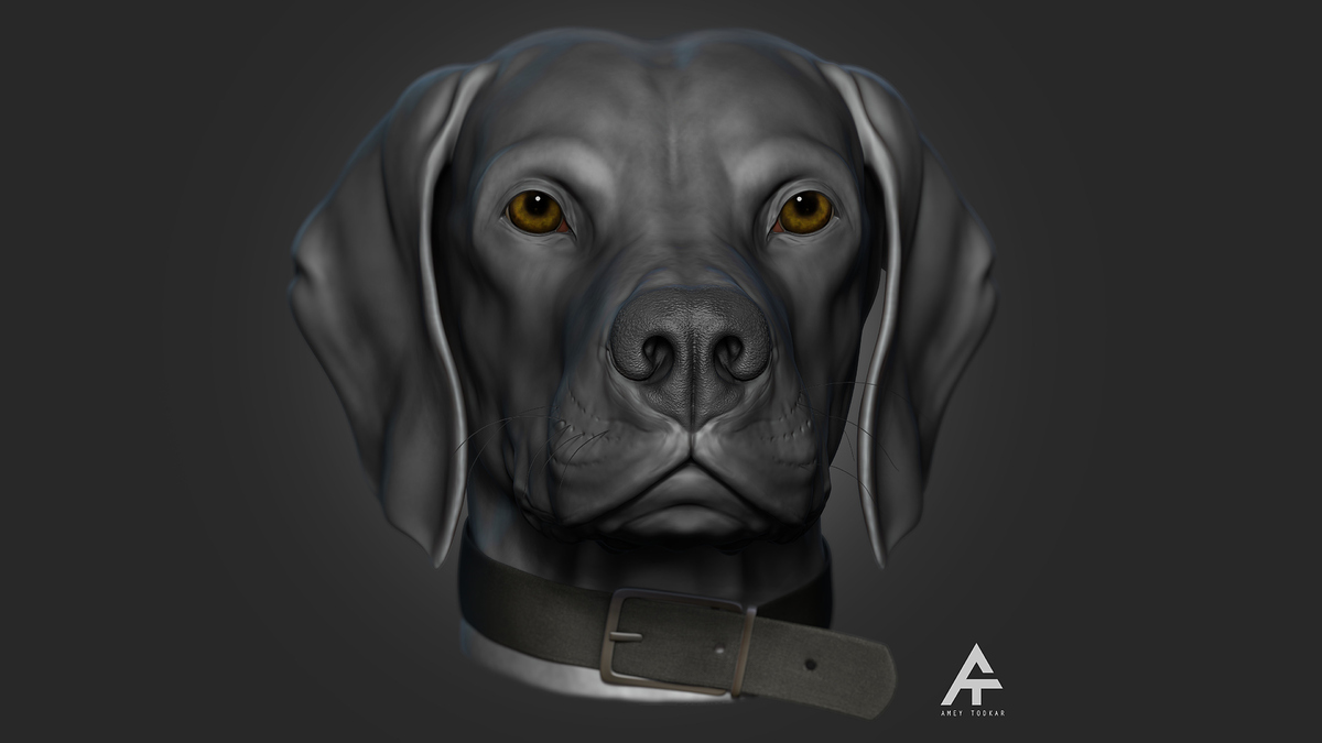 doggo_02