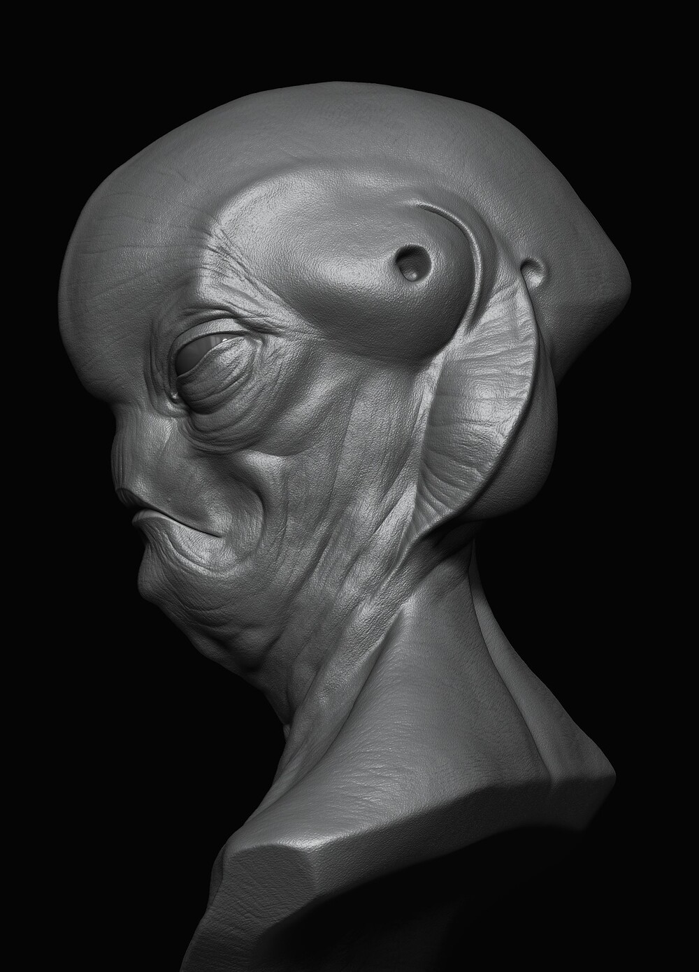 Z_61